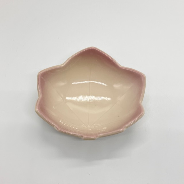 画像無し
